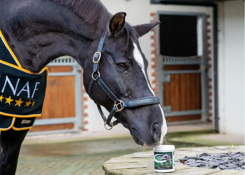 NAF SuperFlex Senior 660g -1